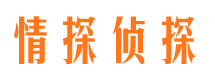 平遥婚外情调查取证